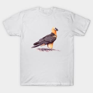 Bearded Vulture T-Shirt